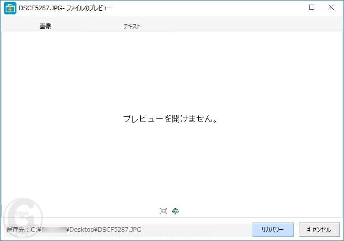 EaseUS Data Recovery Wizard　プラビューを開けません