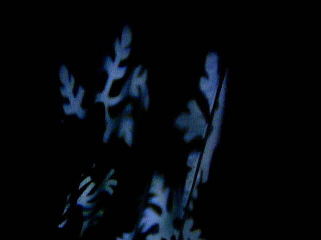 DSCF0624-セグメント 1